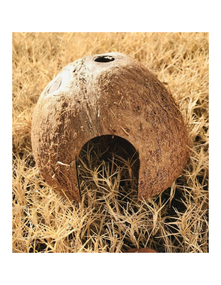 Escondite de Coco Natural Hexagrowth para Acuario 7.6x6.4 cm