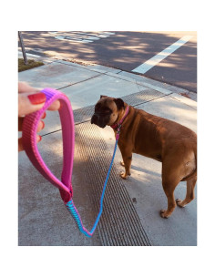 Correa Reflectante para Perros Mycicy 1.83m Rosa Nylon 2