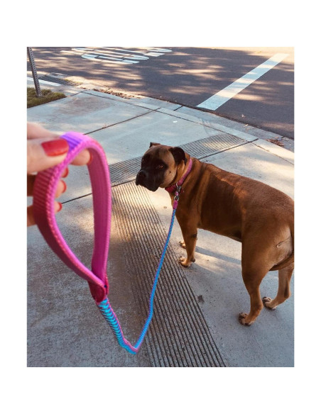 Correa Reflectante para Perros Mycicy 1.83m Rosa Nylon