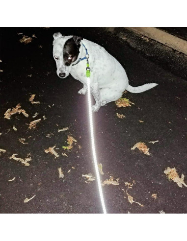 Correa Reflectante para Perros Mycicy 1.83m Rosa Nylon