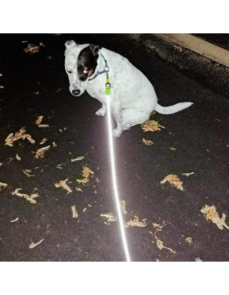 Correa Reflectante para Perros Mycicy 1.83m Rosa Nylon