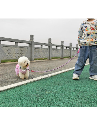 Correa Reflectante para Perros Mycicy 1.83m Rosa Nylon