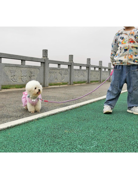 Correa Reflectante para Perros Mycicy 1.83m Rosa Nylon