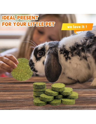 Juguetes de Masticar para Conejos Hamiledyi - 15 Piezas de Heno Timothy