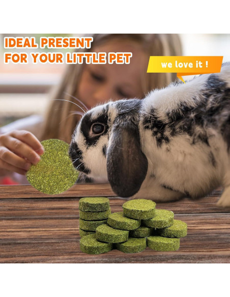 Juguetes de Masticar para Conejos Hamiledyi - 15 Piezas de Heno Timothy