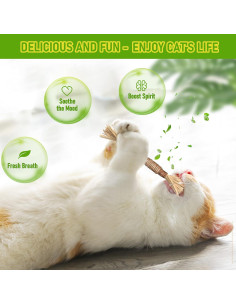 Paquete Juguete Dental para Gatos GBSYU - Palos de Silvervine 2