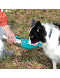Botella de Agua Portátil LumoLeaf 800 ml para Perros Grandes 2