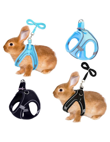 Juego de Arnés y Correa para Conejos PETKNOWS Azul y Negro