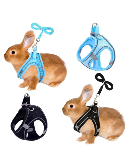 Juego de Arnés y Correa para Conejos PETKNOWS Azul y Negro