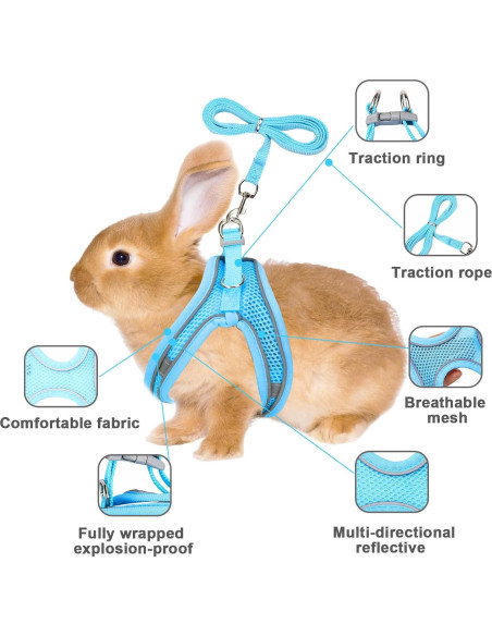 Juego de Arnés y Correa para Conejos PETKNOWS Azul y Negro