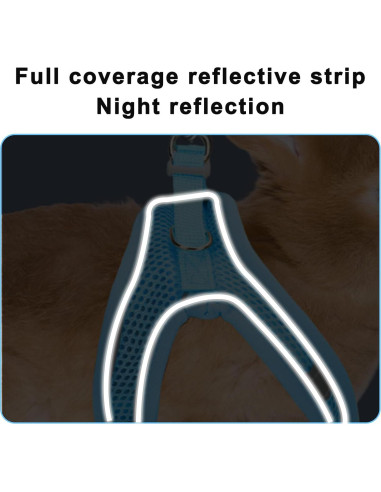 Juego de Arnés y Correa para Conejos PETKNOWS Azul y Negro