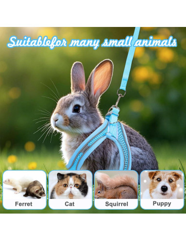 Juego de Arnés y Correa para Conejos PETKNOWS Azul y Negro