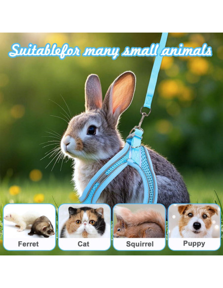 Juego de Arnés y Correa para Conejos PETKNOWS Azul y Negro