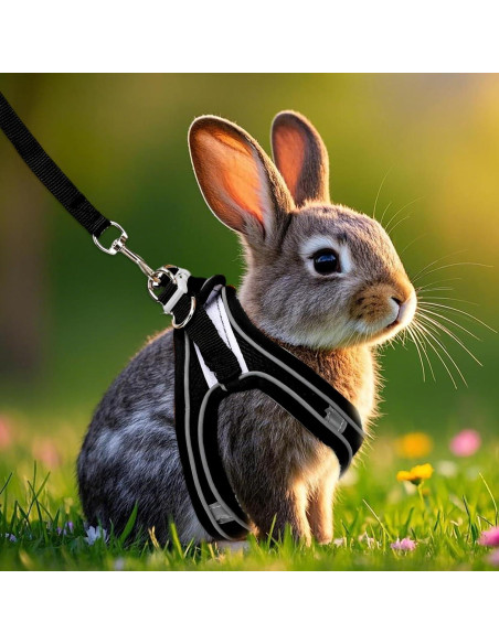 Juego de Arnés y Correa para Conejos PETKNOWS Azul y Negro