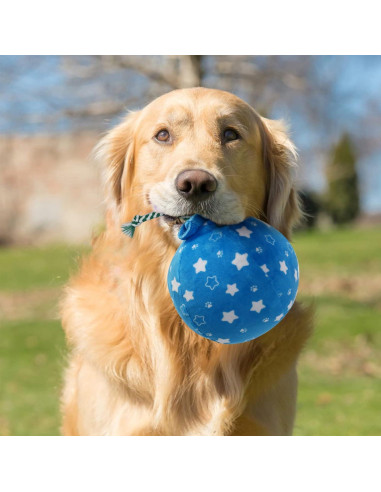 Juguetes de Cumpleaños para Perros Prime Pets - Set de 3
