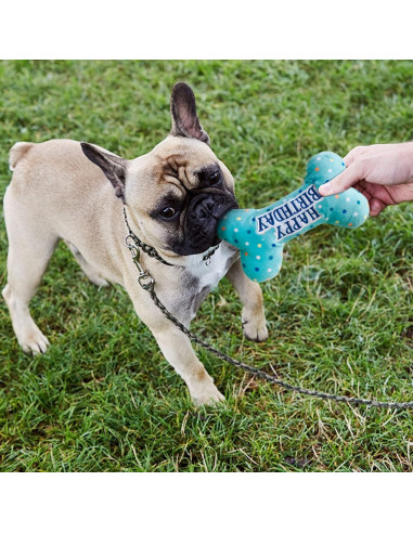 Juguetes de Cumpleaños para Perros Prime Pets - Set de 3