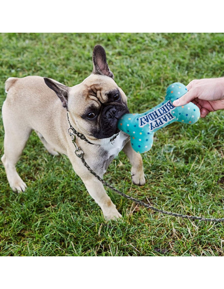 Juguetes de Cumpleaños para Perros Prime Pets - Set de 3