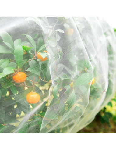 Malla de Barrera para Insectos Alpurple 6.1x3.0m Jardín