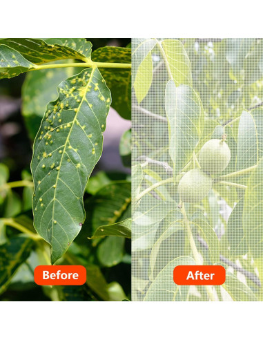 Malla de Barrera para Insectos Alpurple 6.1x3.0m Jardín