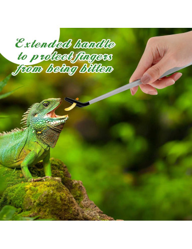 Pinzas de Acero Inoxidable Lasnten para Reptiles 25.4 y 26.7 cm