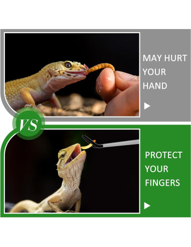 Pinzas de Acero Inoxidable Lasnten para Reptiles 25.4 y 26.7 cm