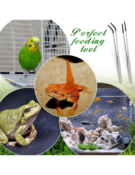 Pinzas de Acero Inoxidable Lasnten para Reptiles 25.4 y 26.7 cm