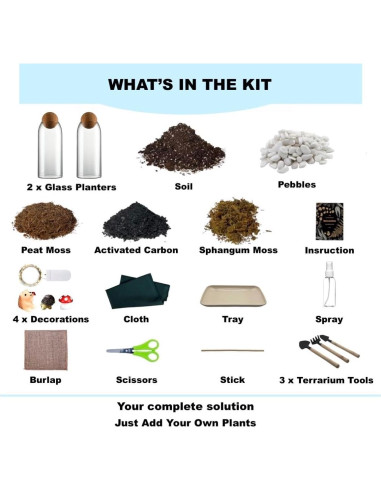 Kit de Terrario DIY KRAFTSTORIES con 2 Tarros de Vidrio 22.86 cm