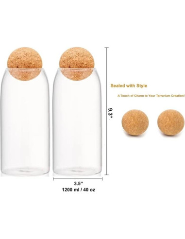 Kit de Terrario DIY KRAFTSTORIES con 2 Tarros de Vidrio 22.86 cm