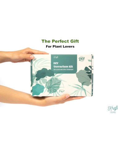 Kit de Terrario DIY KRAFTSTORIES con 2 Tarros de Vidrio 22.86 cm