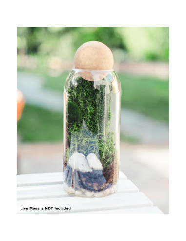 Kit de Terrario DIY KRAFTSTORIES con 2 Tarros de Vidrio 22.86 cm