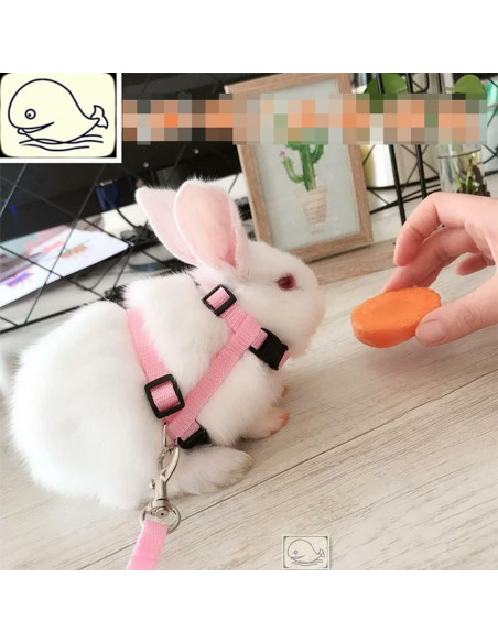 Arnés Ajustable para Mascotas UUYYEO 2 Pcs Rosa y Azul Claro Arnés Ajustable para Mascotas UUYYEO 2 Pcs Rosa y Azul Claro