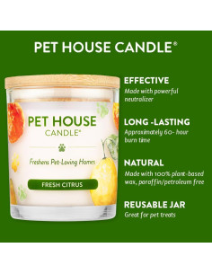 Kit de Velas Aromáticas y Ambientadores One Fur All - Cítricos Frescos 2