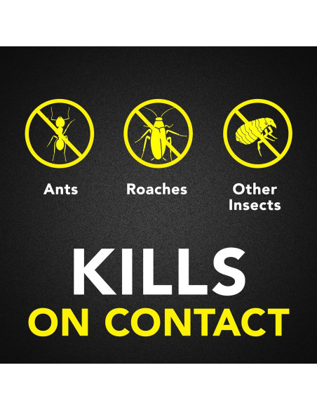 Raid Asesino de Hormigas y Cucarachas 495 g - Spray Sin Fragancia