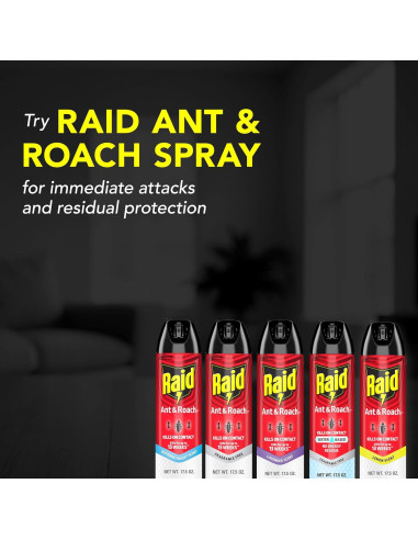 Raid Asesino de Hormigas y Cucarachas 495 g - Spray Sin Fragancia