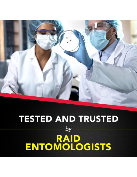 Raid Asesino de Hormigas y Cucarachas 495 g - Spray Sin Fragancia