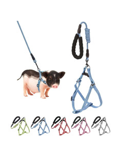 Arnés Ajustable para Mini Cerdo YeeBeny S Azul - Paseo y Entrenamiento
