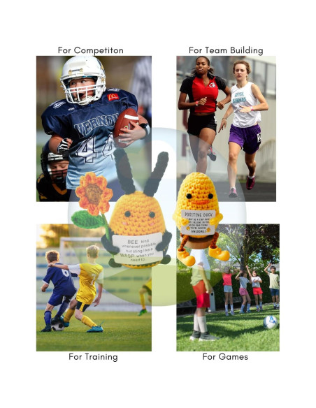 Juego de Regalo de Crochet Pato y Abeja - Apoyo Emocional