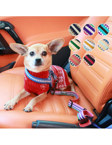 Correa de Seguridad para Perro Blueberry Pet Ajustable 2.54 cm