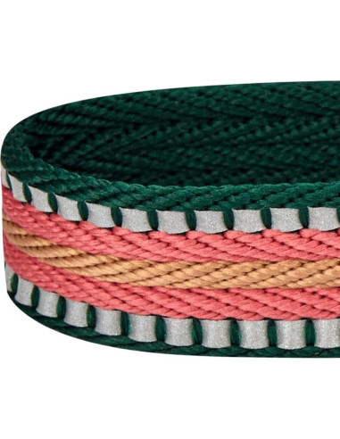 Correa de Seguridad para Perro Blueberry Pet Ajustable 2.54 cm