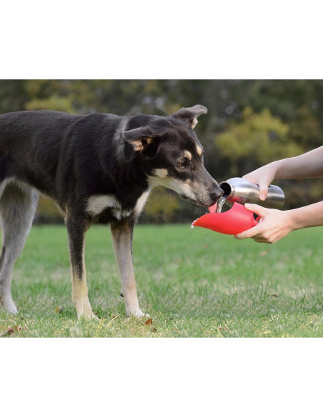 Botella de Agua KONG H2O Acero Inoxidable 740 ml Azul