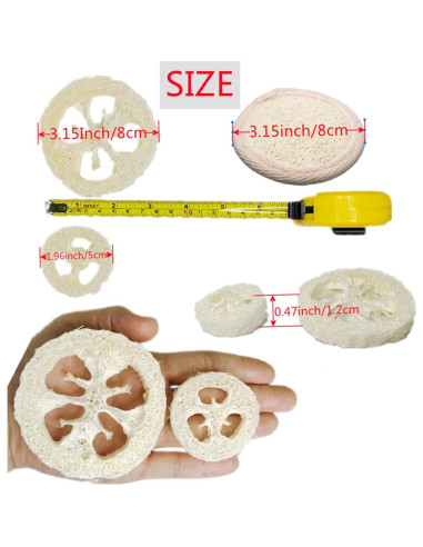 25 Rodajas de Lufa Natural 5cm para Jabón y Exfoliación