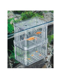 Caja de Cría Pawfly Grande para Acuarios - Incubadora de Peces