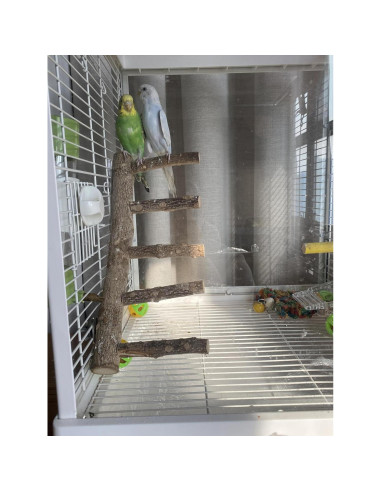 Escalera de Madera Natural para Periquitos Juguete 25cm