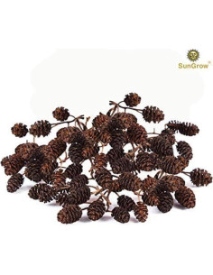 Conos de Aliso SunGrow 50 Pcs - Acondicionador de Agua para Camarones 2