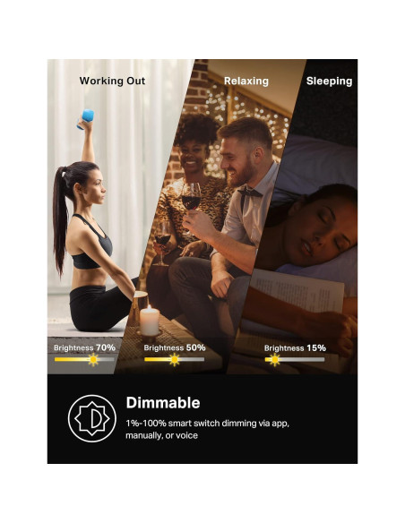 Interruptor Regulable Inteligente Kasa TP-Link 3 Vías KIT