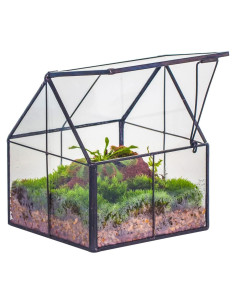 Terrario Geométrico de Vidrio NCYP Mini 10.8x10.8x12.5 cm