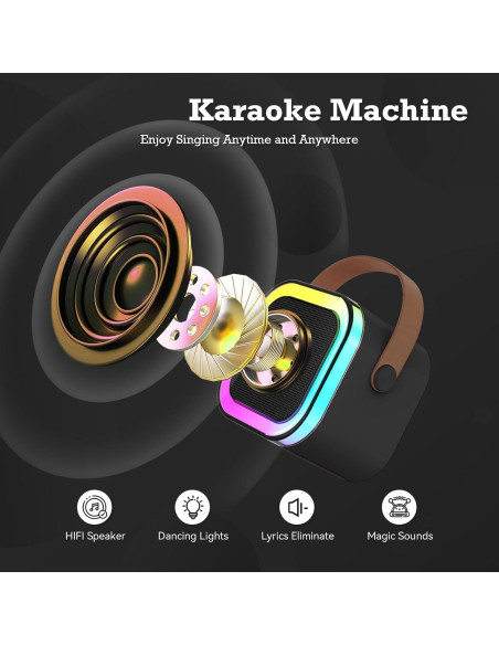 Mini Máquina de Karaoke Bluetooth Portátil con 2 Micrófonos - Negro