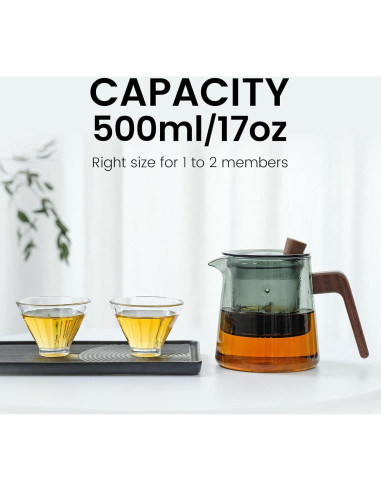 Tetera de vidrio Tea Canyon 500ml con infusor extraíble