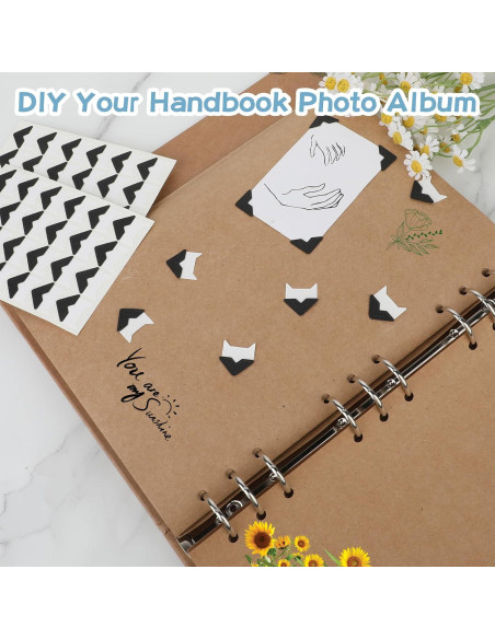 240 Esquinas de Foto Autoadhesivas Abeillo Negras 2x2cm