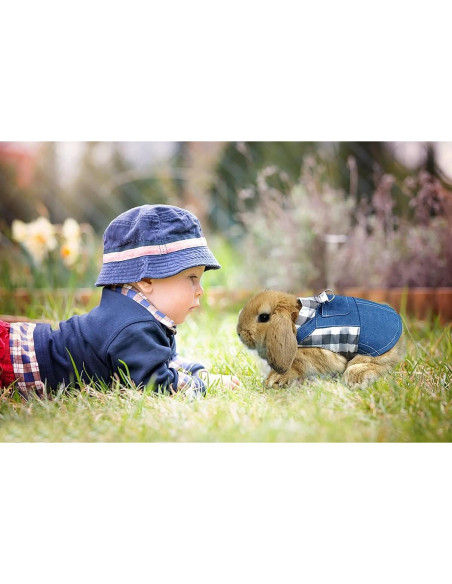 Arnés y Correa para Conejo Vehomy Denim Ajustable S